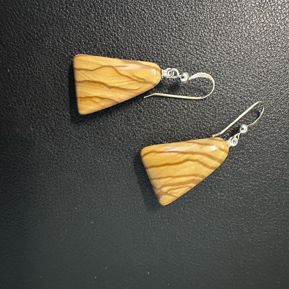Jay King Picture Jasper Drop Earrings Brand New
